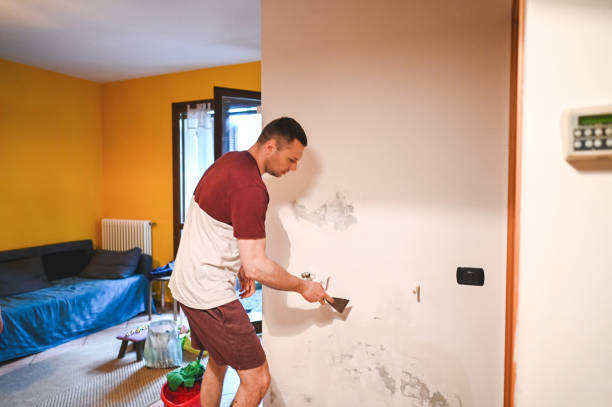 Best Professional Mold Removal  in Polo, IL